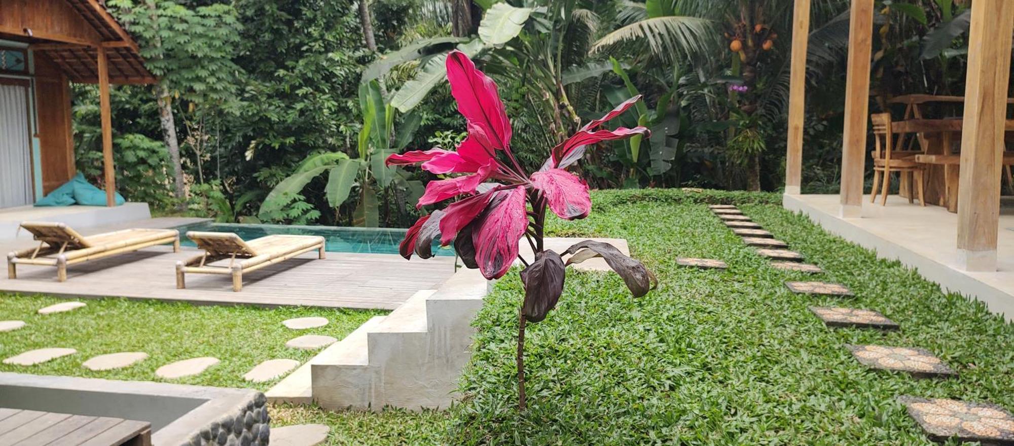 Rumah Guci Ubud Exteriér fotografie