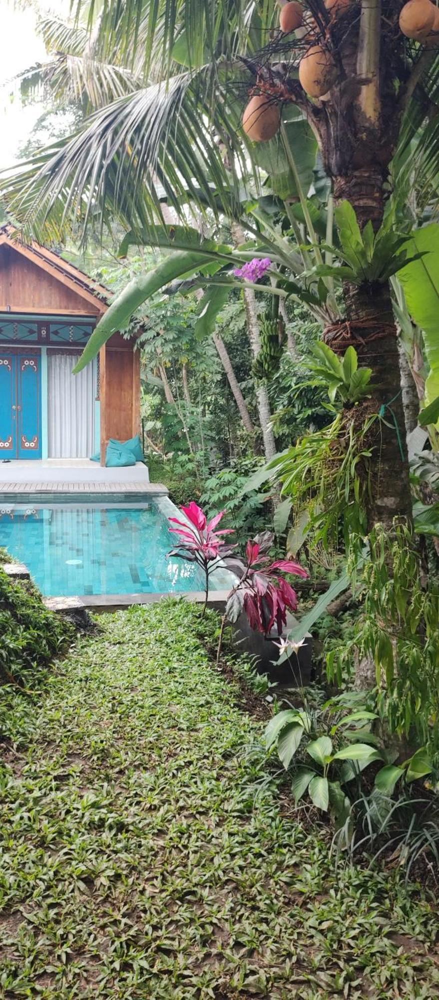 Rumah Guci Ubud Exteriér fotografie