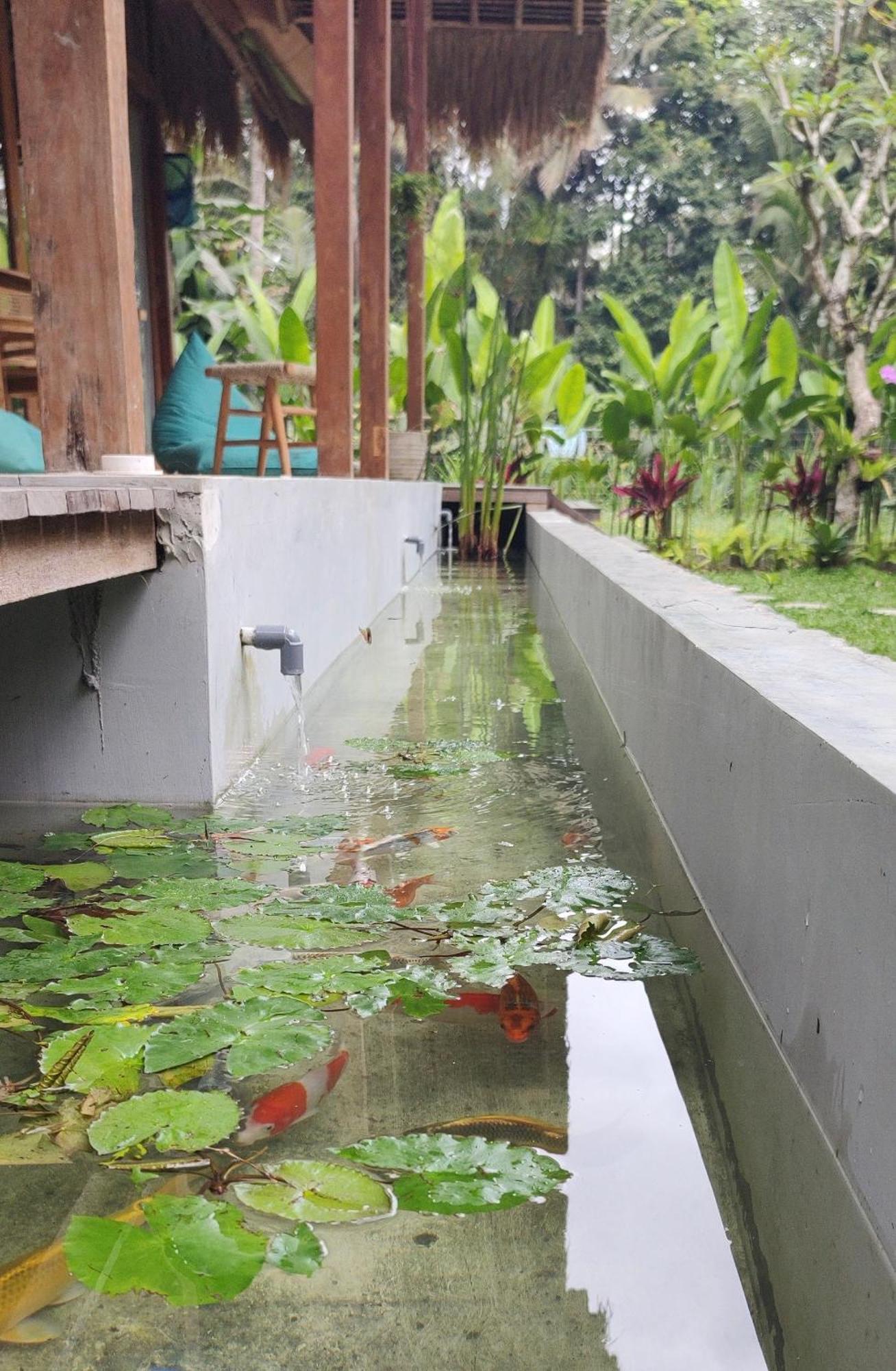 Rumah Guci Ubud Exteriér fotografie