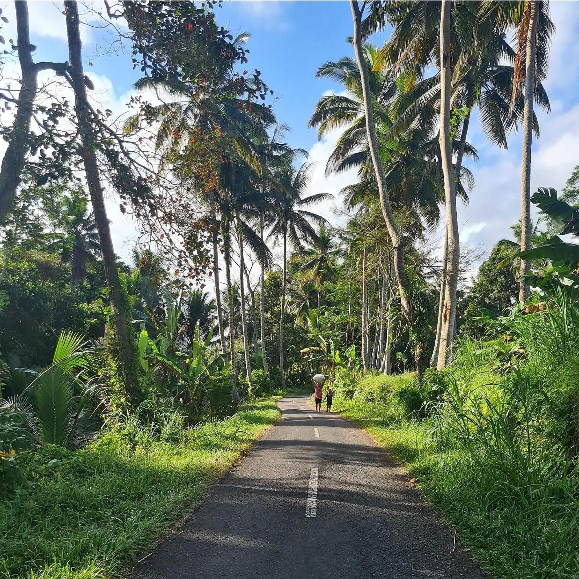 Rumah Guci Ubud Exteriér fotografie